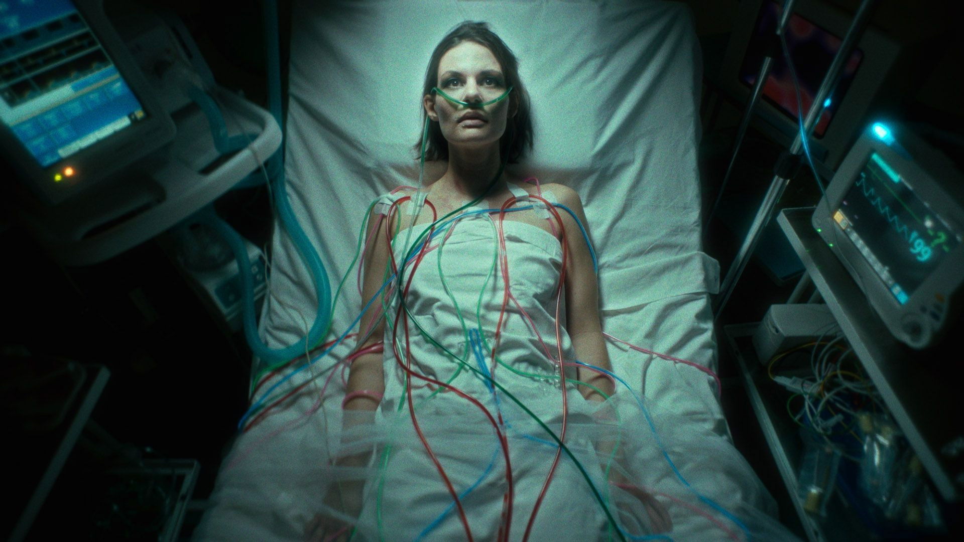 Flesh, Blood, Even a Heart