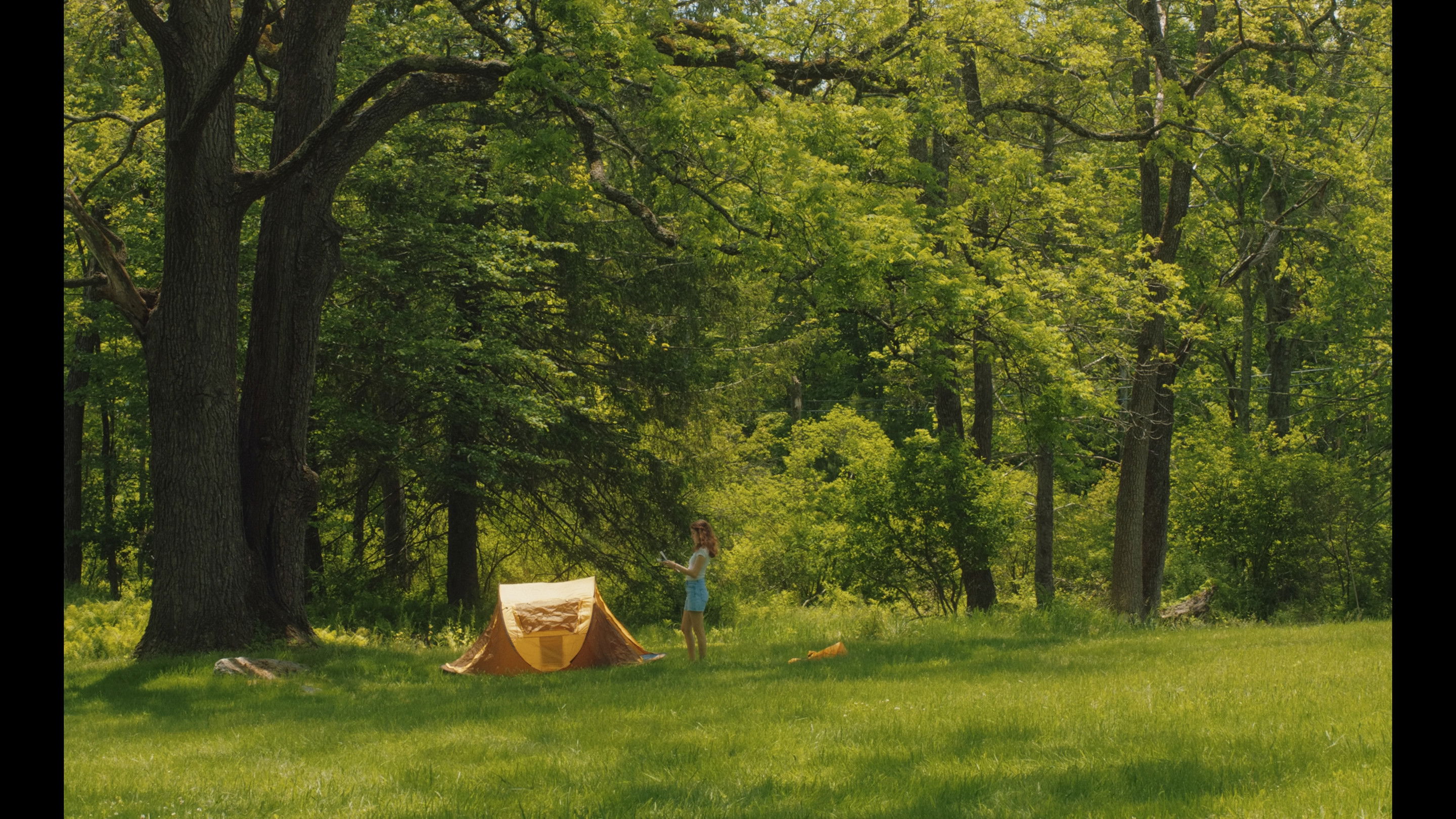 Everything In This World Is Exactly What It Is