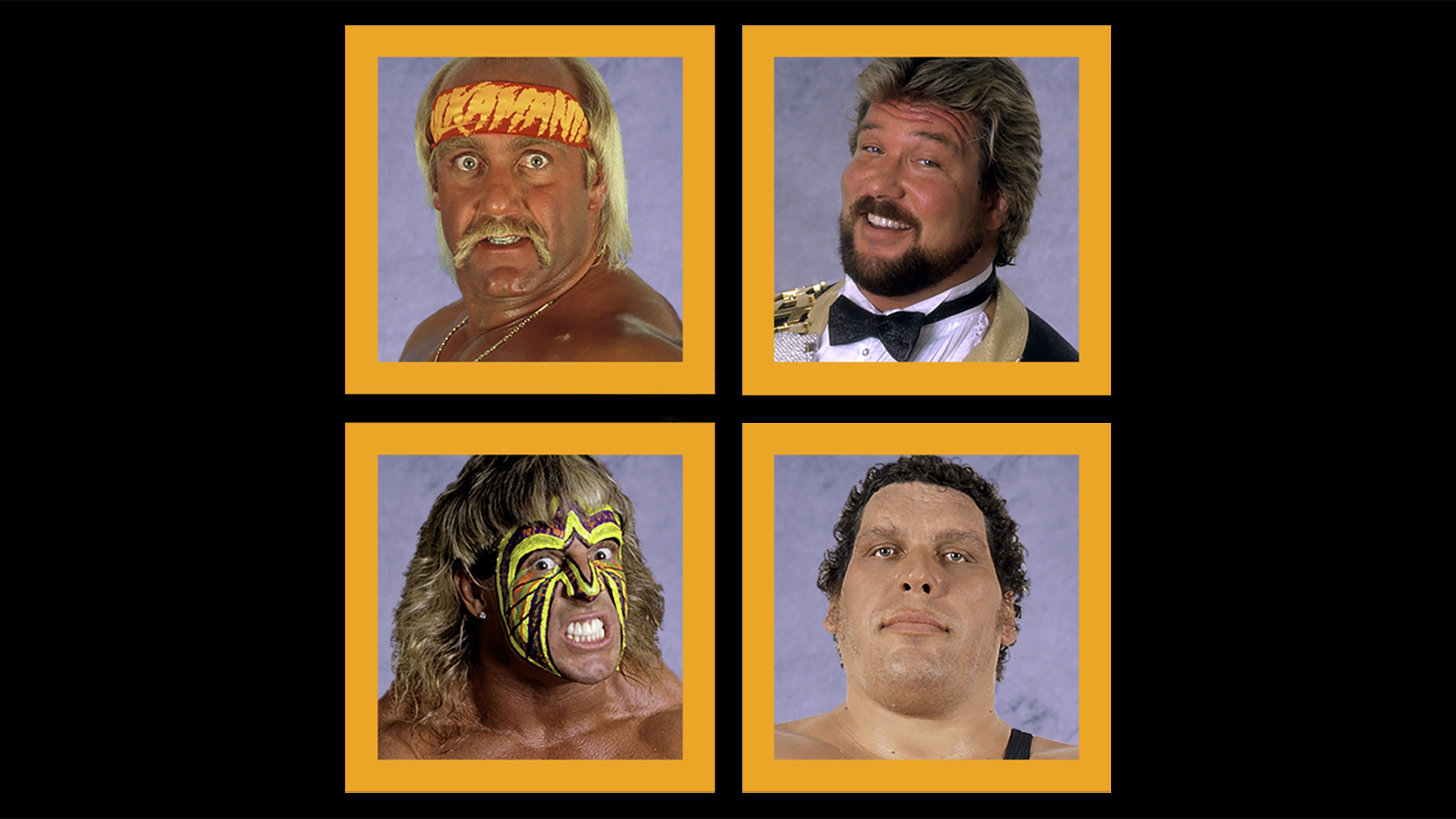 WWE Survivor Series 1989