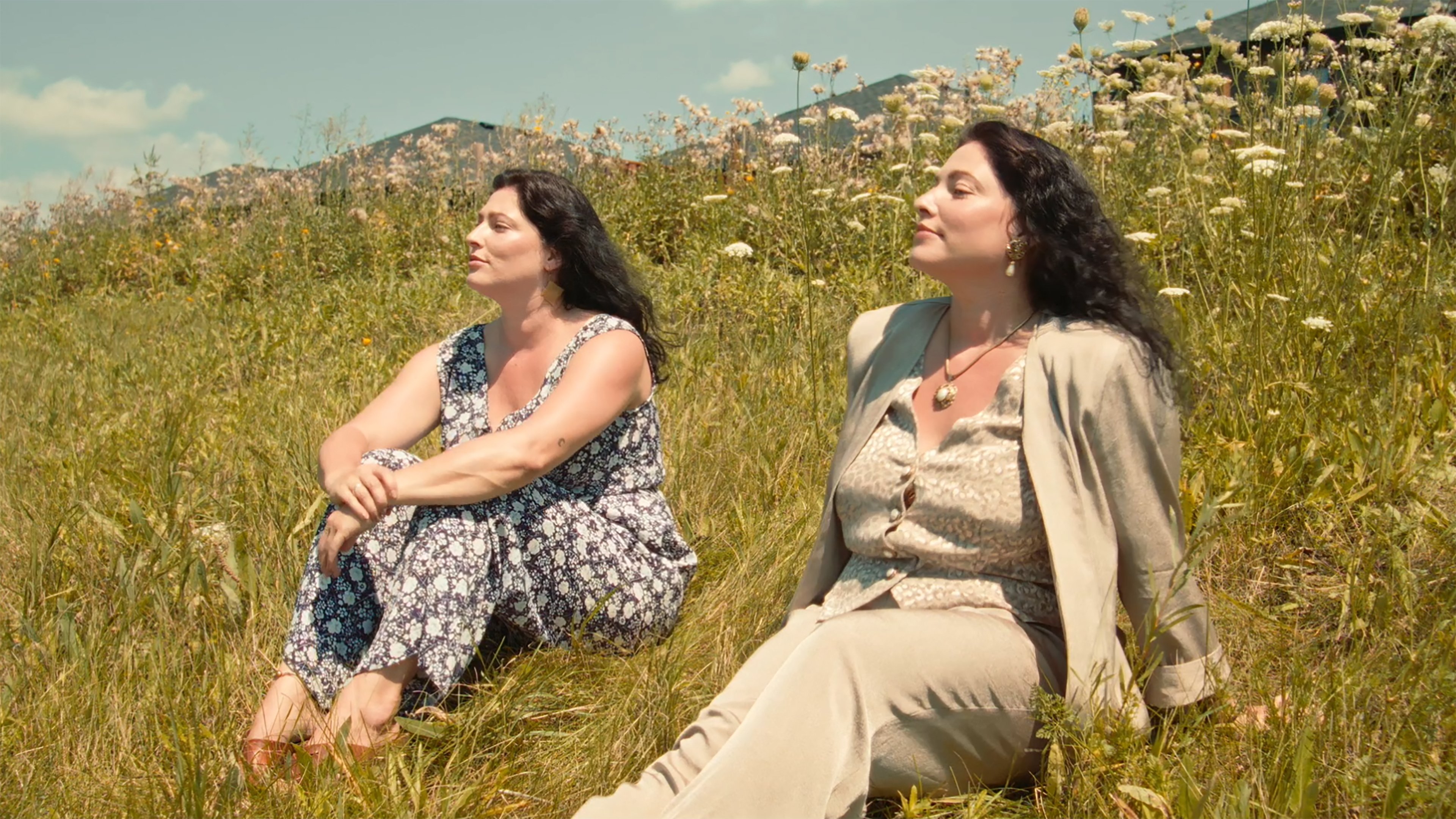 Call of the Blackbird