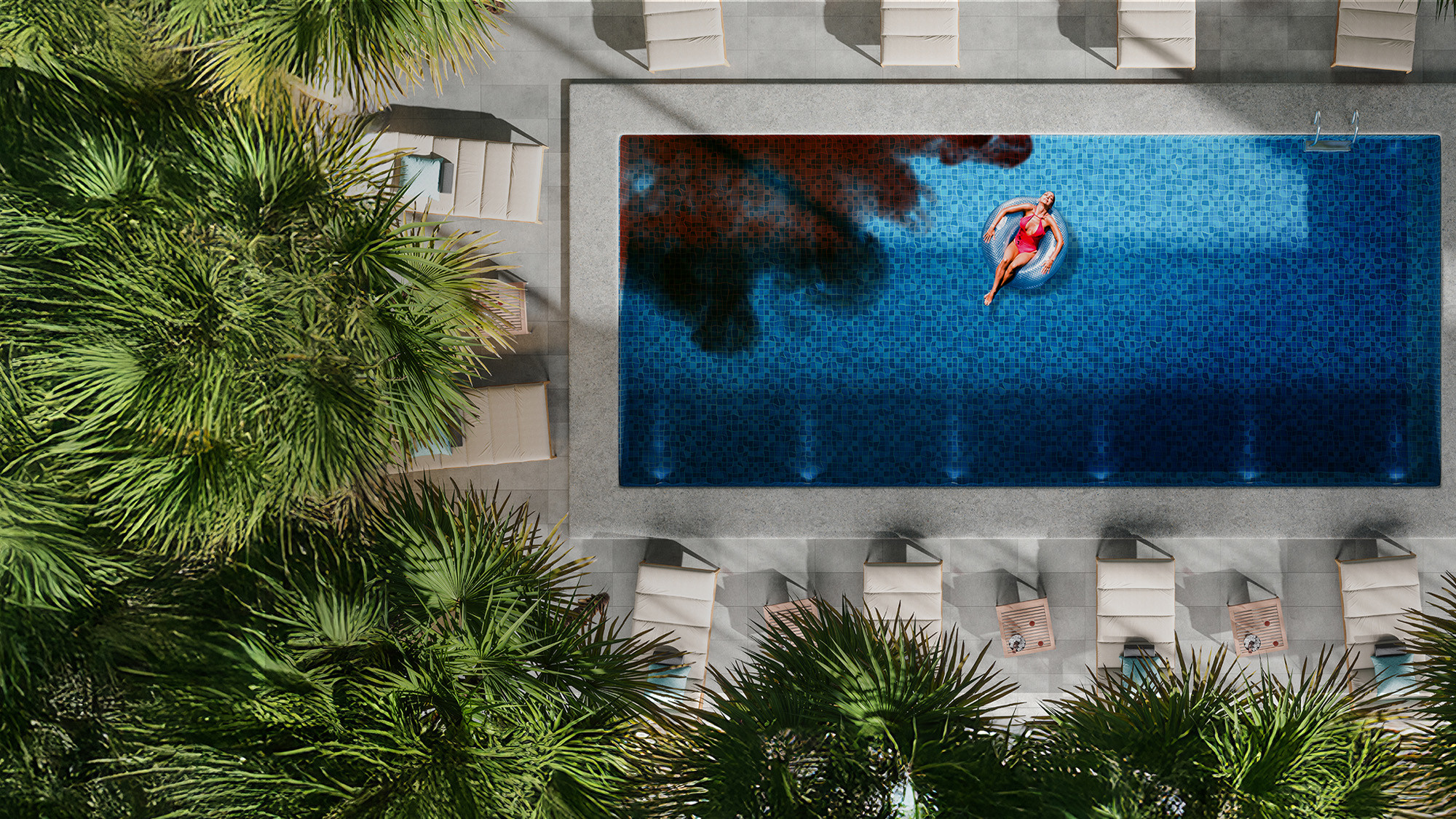 The Paradise Murders