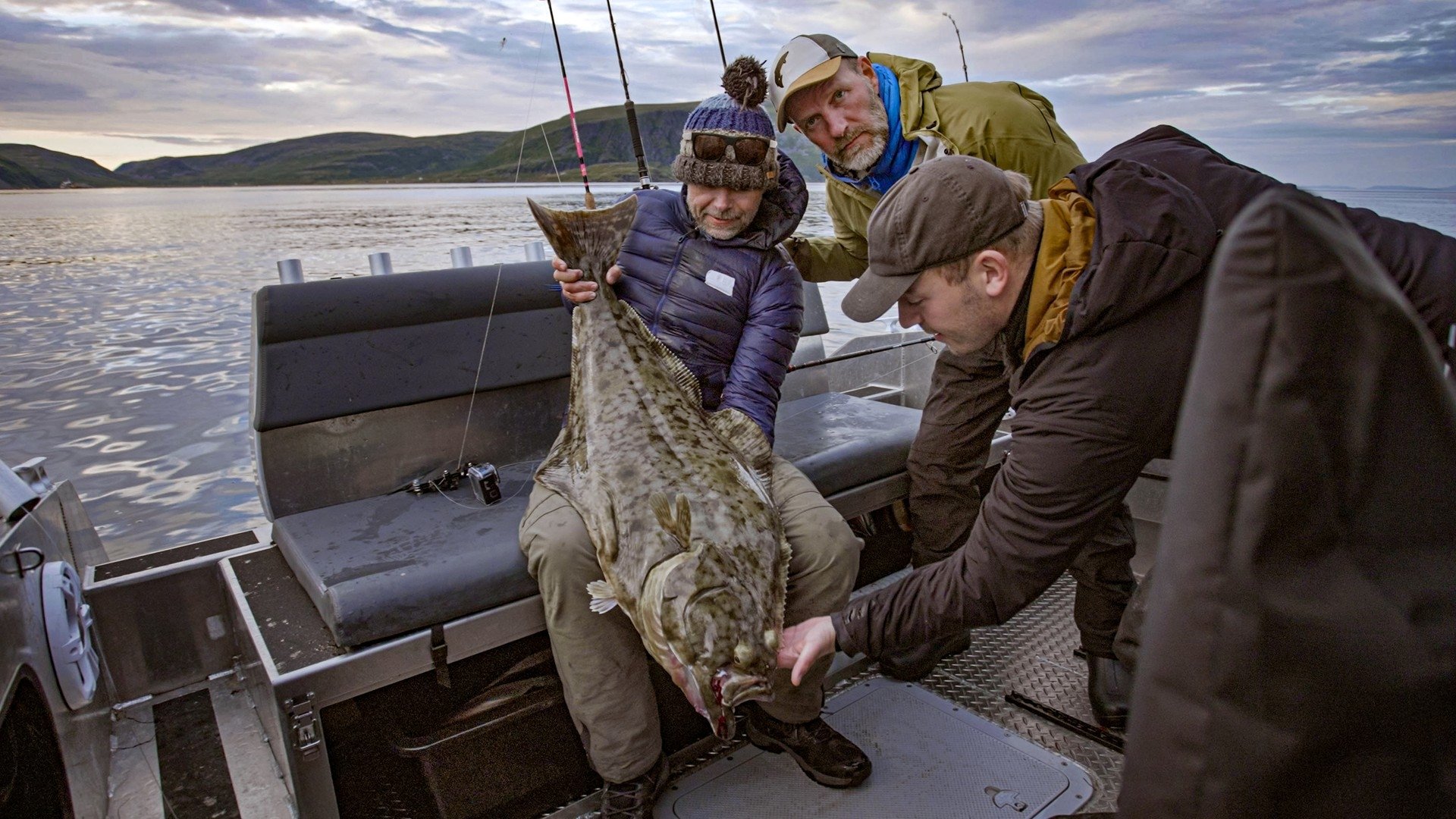Jakten på monsterkveita
