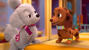 Welcome Waggin' / Groom Games