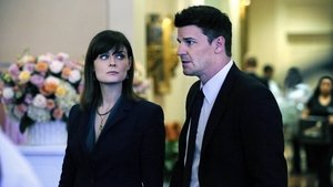 The Bikini in the Soup