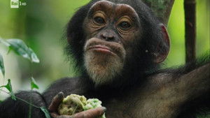 With Alberto Angela in Aosta