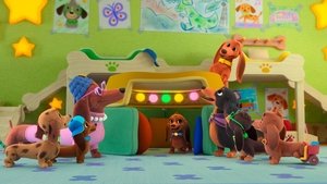 Pup Tent / Tree Bark