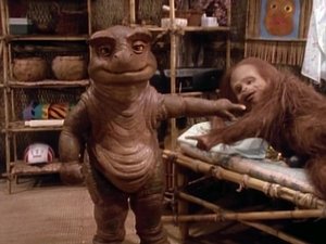 Misery Loves Company