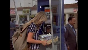 Rabbits on the Runway