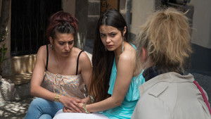 Birds of a feather flock together