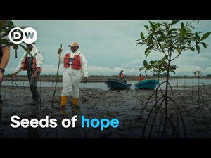 Nigerian communities vs. Big Oil