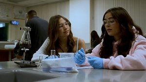 What Happened in the Woods