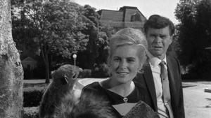 Stopover in a Quiet Town