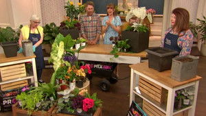 Thursday, May 15, 2025