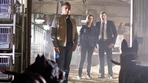 The Finger in the Nest