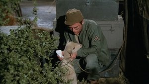 Private Charles Lamb