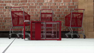 Roger's Mouse Bot Mayhem