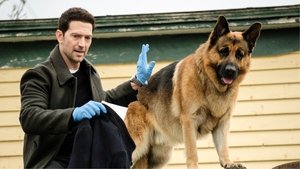 Of All the Gin Joints