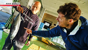 Kure Port, Kochi — The Lure of Katsuo