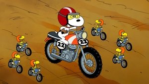 Speak Softly, and Carry a Beagle