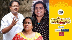 The Elections - Part 2