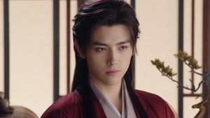 Don't Try to Understand Madness. Lay Low and Live Another Day