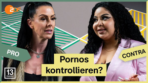 Does the porn industry need to be more regulated?