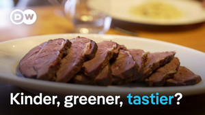 Fake steak - Future-proof food and lab-grown meat