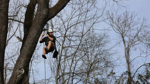 Grace VanderWaal's Got Treehouse