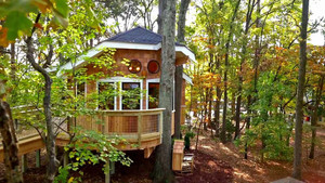 The Owl Treehouse