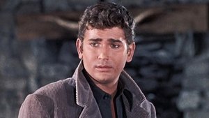 The Julia Bulette Story