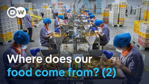 The hidden realities of farming (2/2)