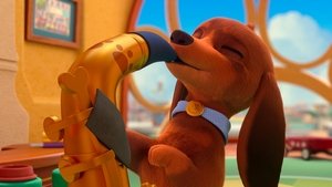 The Show Must Bark On / Dogs at Work