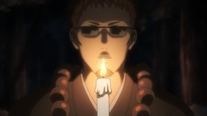 A Phoenix Rises from the Ashes Over and Over