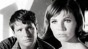 Episode #2.21 (pp-135)