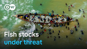 Raid on the Atlantic - Overfishing and exploitation of the sea