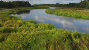 Mississippi Bigfoot, UFO Shot Down over Great Lakes & Mexico's Alien Corpses