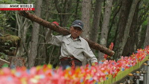 Preserving the Site of a Plane Crash