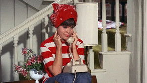 Don't Defrost the Alligator