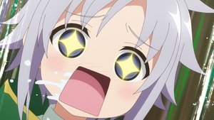 The Dark Forest Stratum