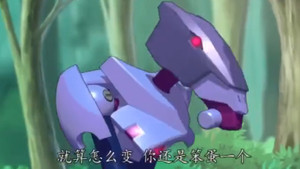 Innocent Legacy Gull