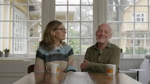 Svanshall - the designer couple who want to blend in