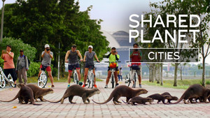 Shared Planet: Cities