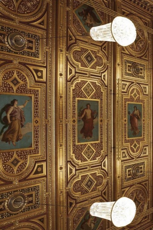 Le grand concert du Philharmonique de Vienne au Palais Garnier